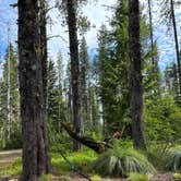 Review photo of Summit Meadows Airstrip by J K., July 1, 2024