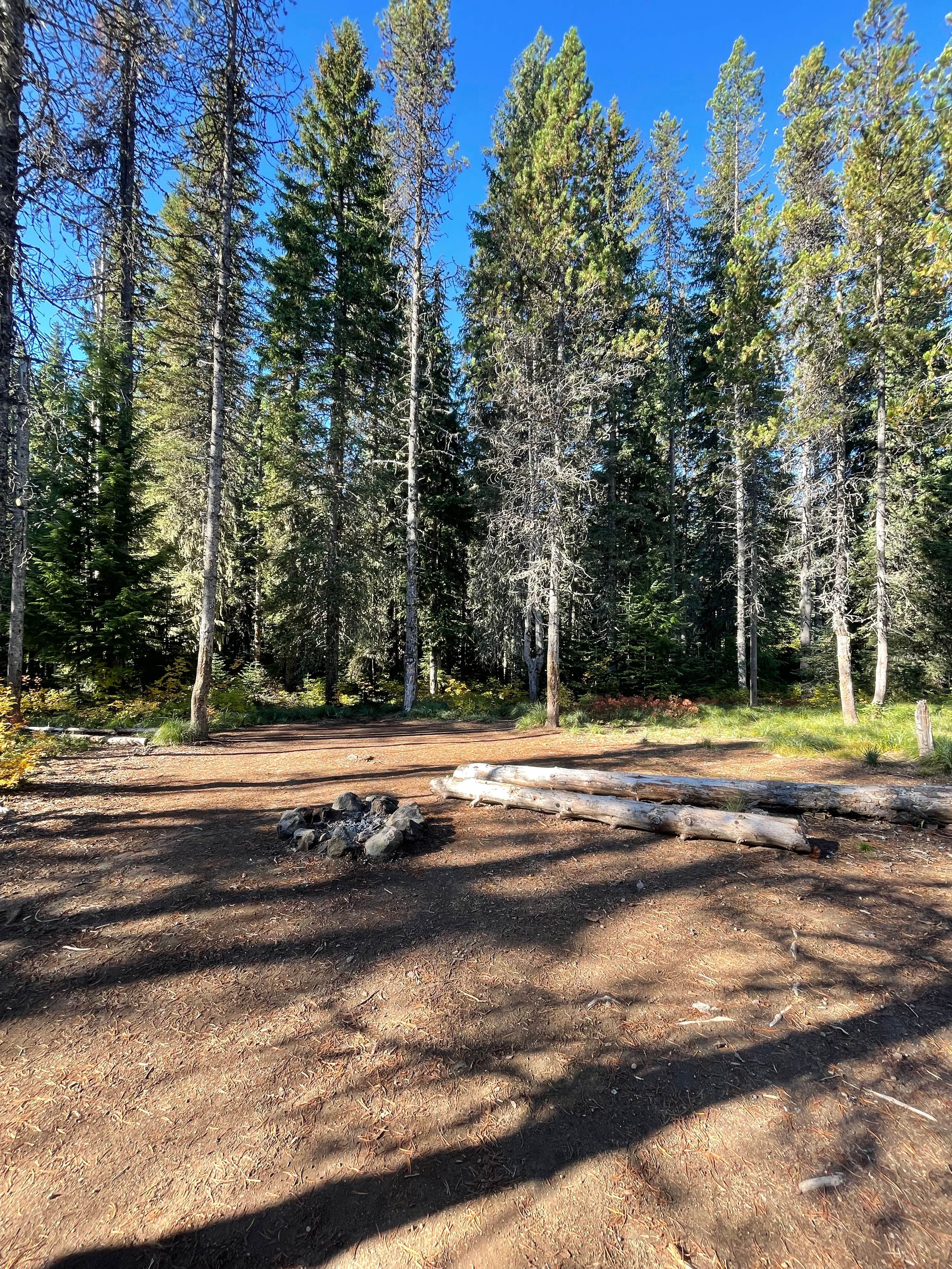 Camper-submitted photo at Summit Meadows Airstrip near Government Camp, OR