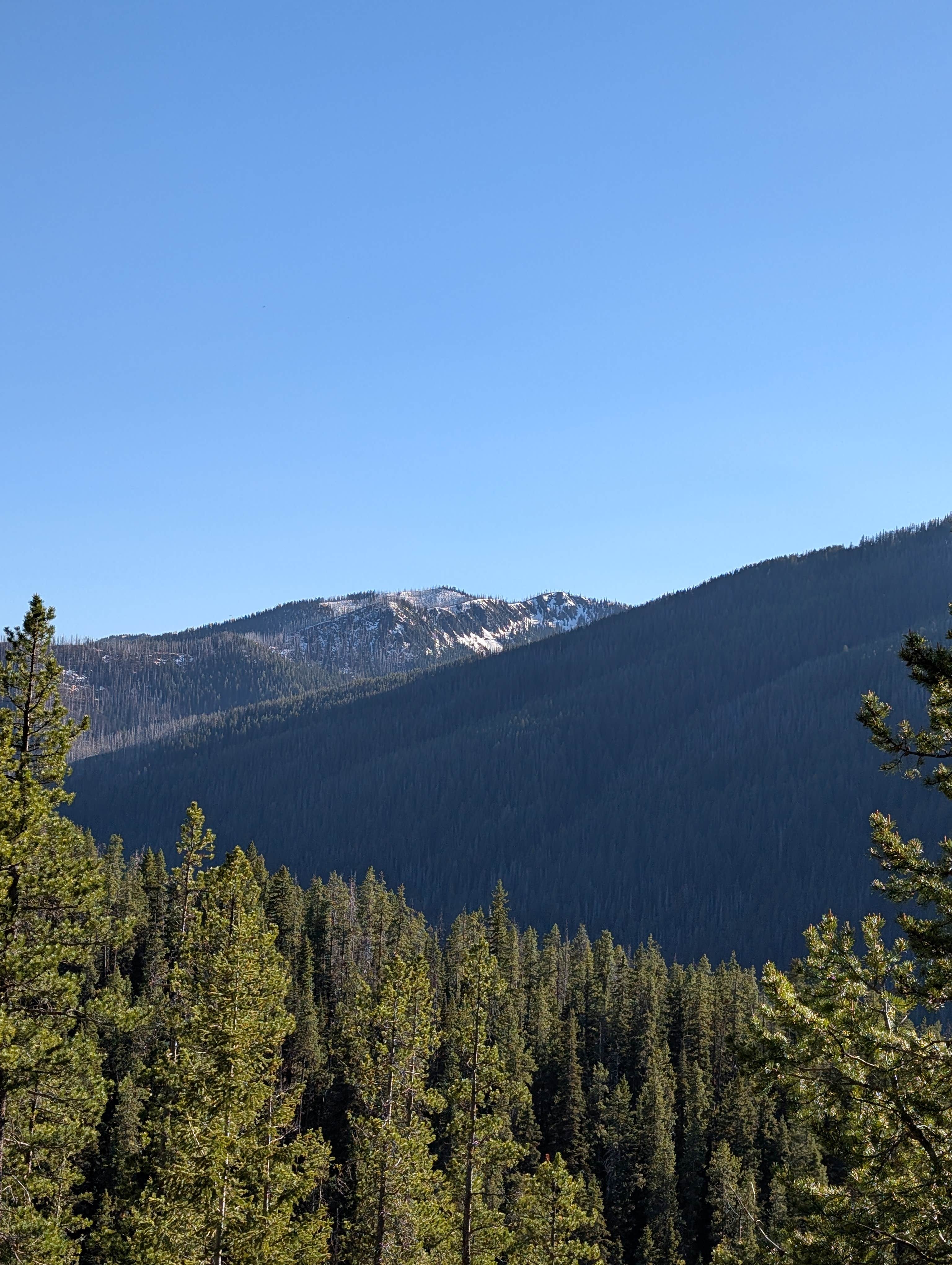 Camper-submitted photo at Summit Trailhead Horse Camp near Heart Butte, MT