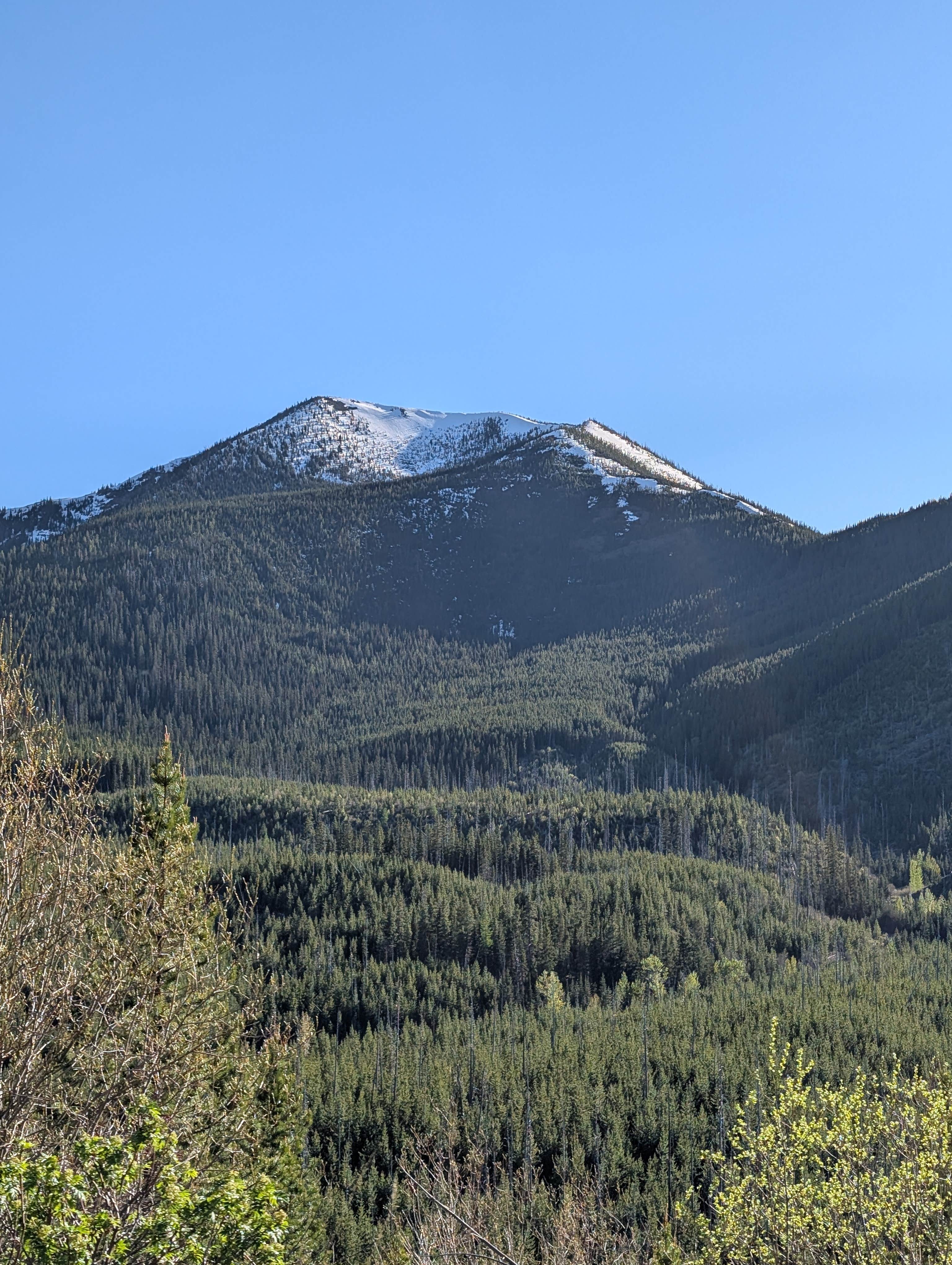 Camper-submitted photo at Summit Trailhead Horse Camp near Heart Butte, MT