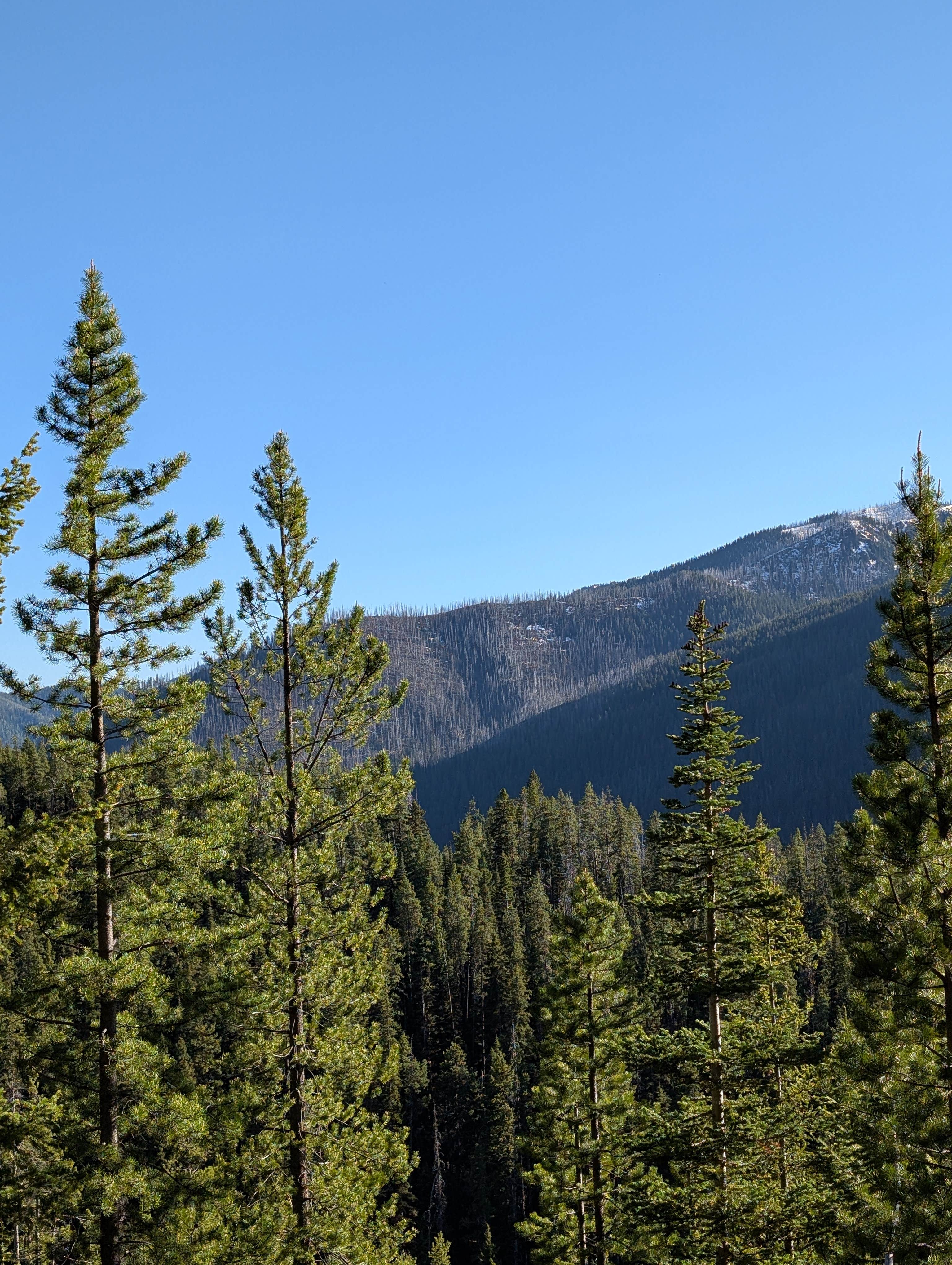 Camper-submitted photo at Summit Trailhead Horse Camp near Heart Butte, MT