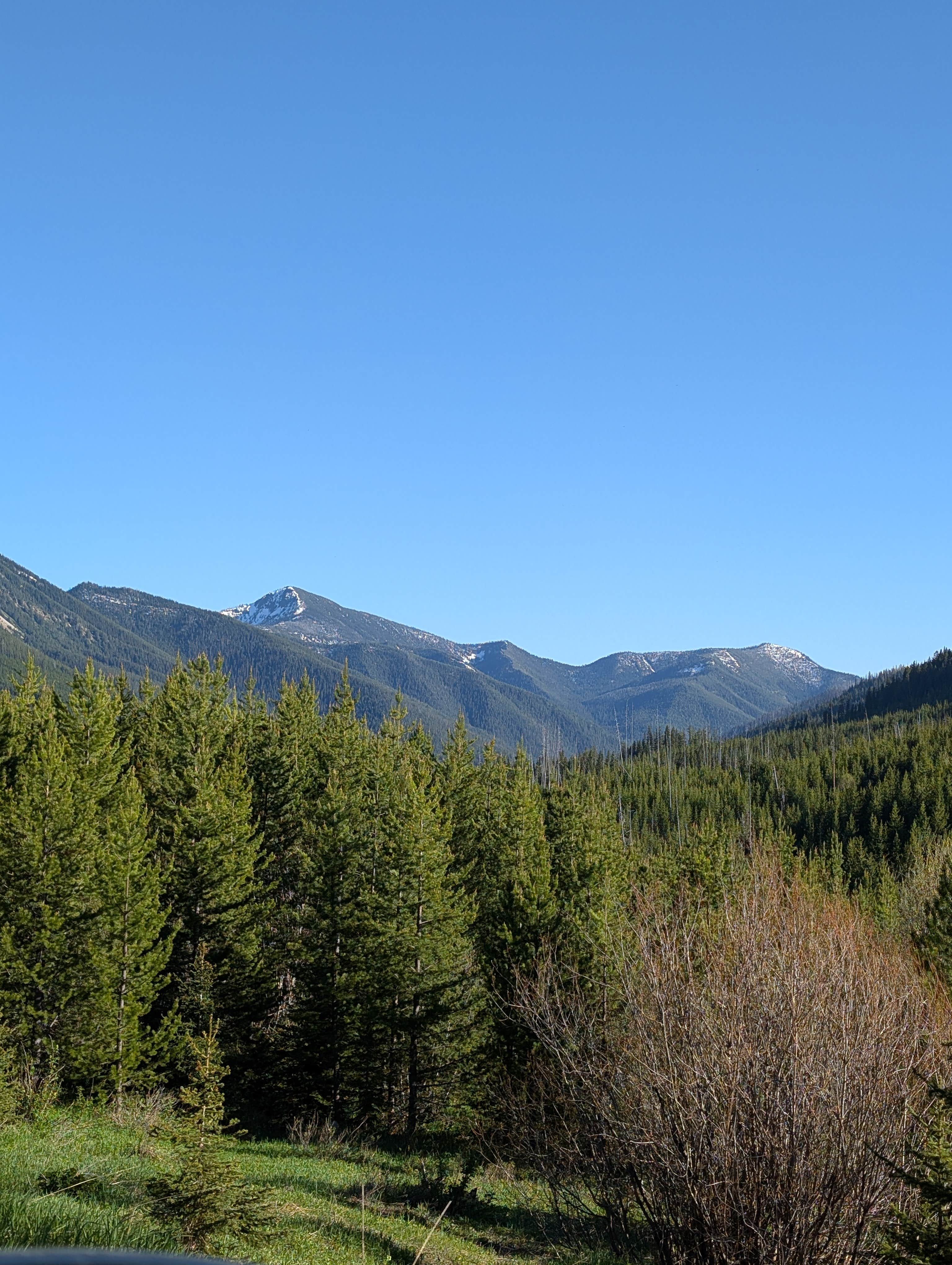 Camper-submitted photo at Summit Trailhead Horse Camp near Heart Butte, MT