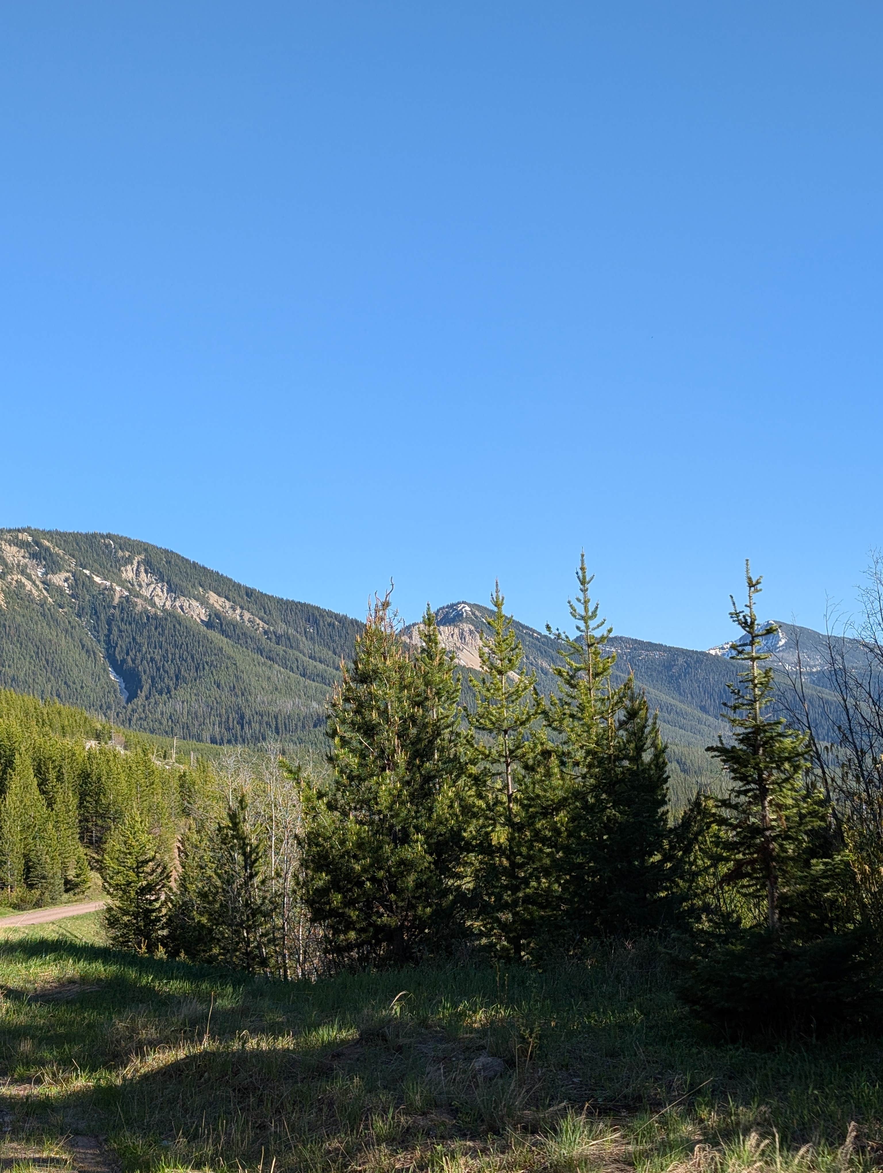 Camper-submitted photo at Summit Trailhead Horse Camp near Heart Butte, MT