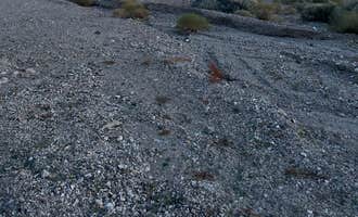 Camping near Mesquite Springs Campground: Summit Well Road, Beatty, Nevada