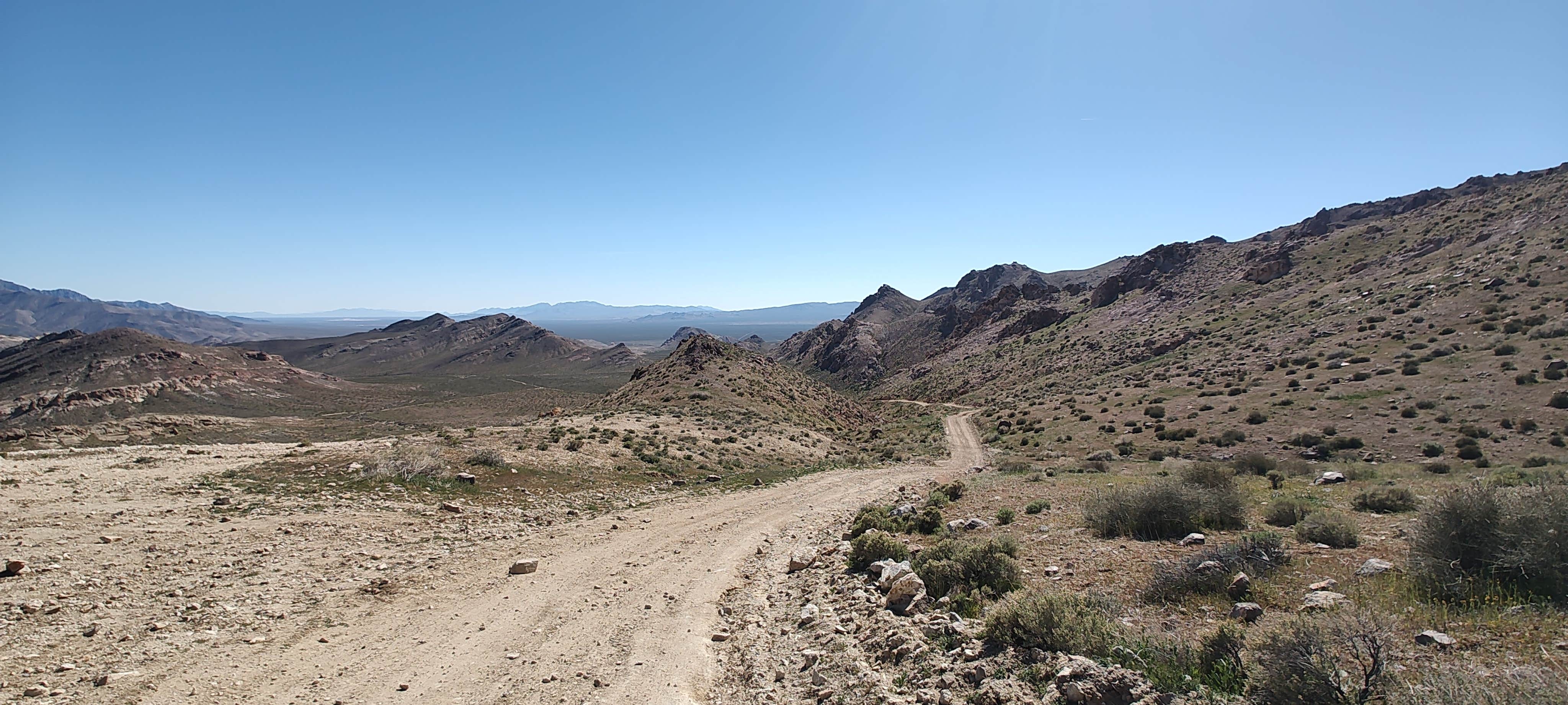 Camper-submitted photo at Summit Well Road near Amargosa Valley, NV