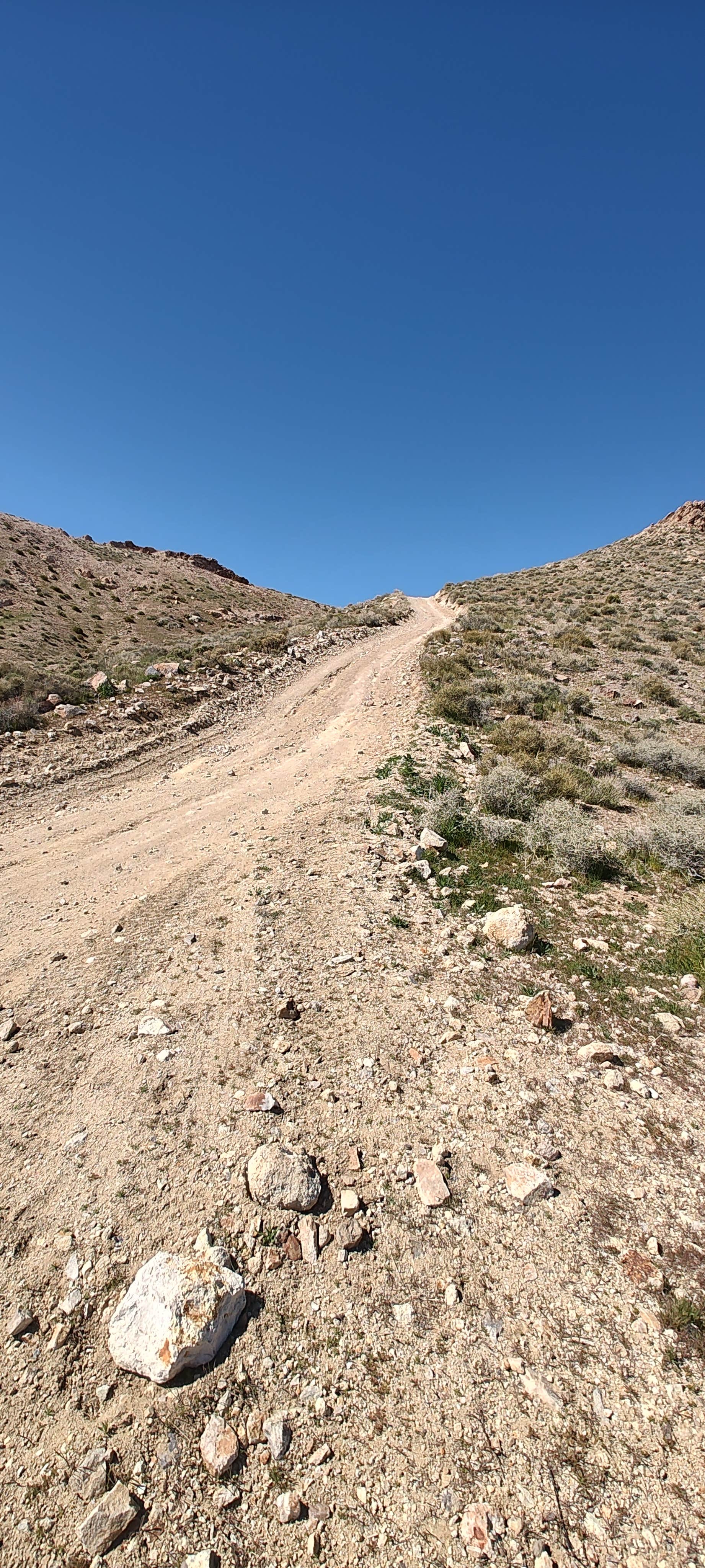 Camper-submitted photo at Summit Well Road near Amargosa Valley, NV