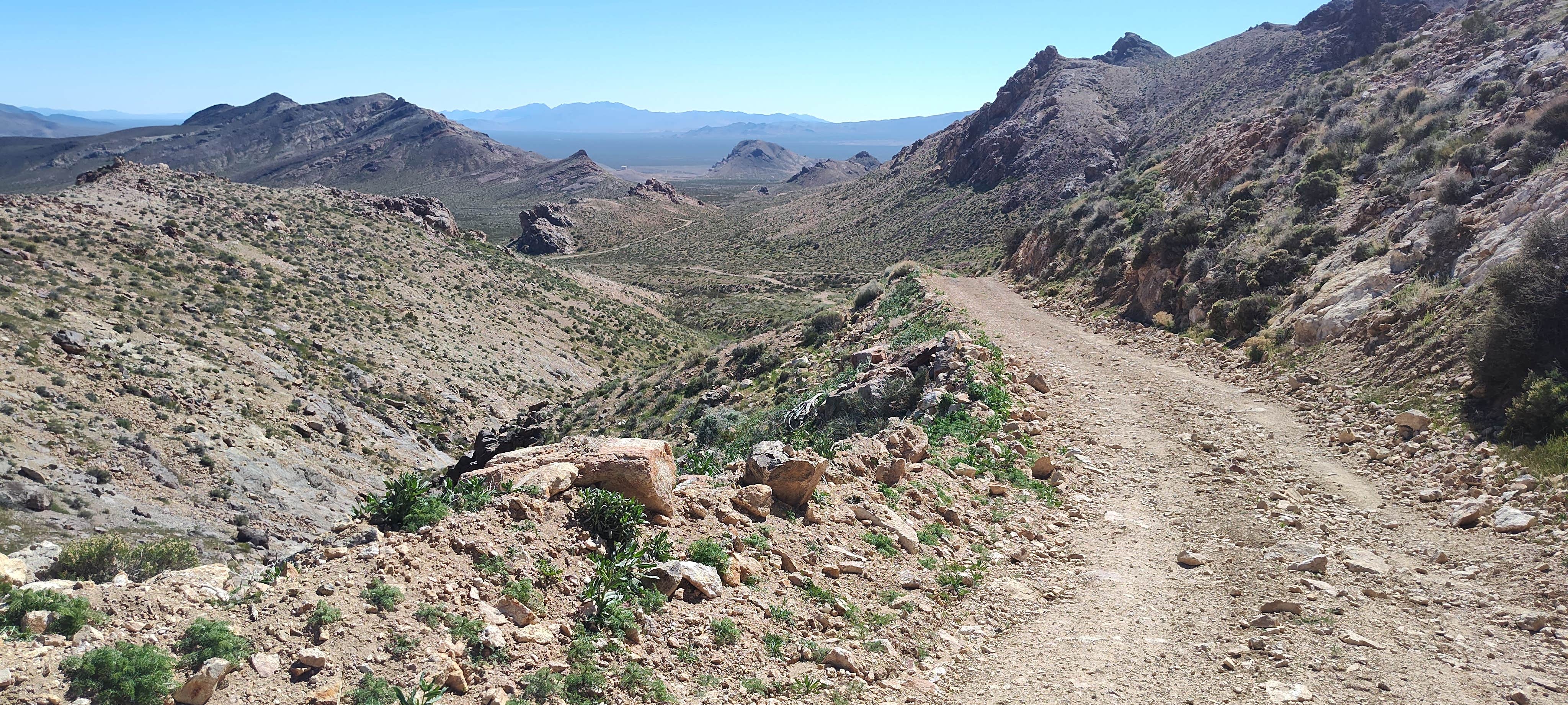 Camper-submitted photo at Summit Well Road near Amargosa Valley, NV