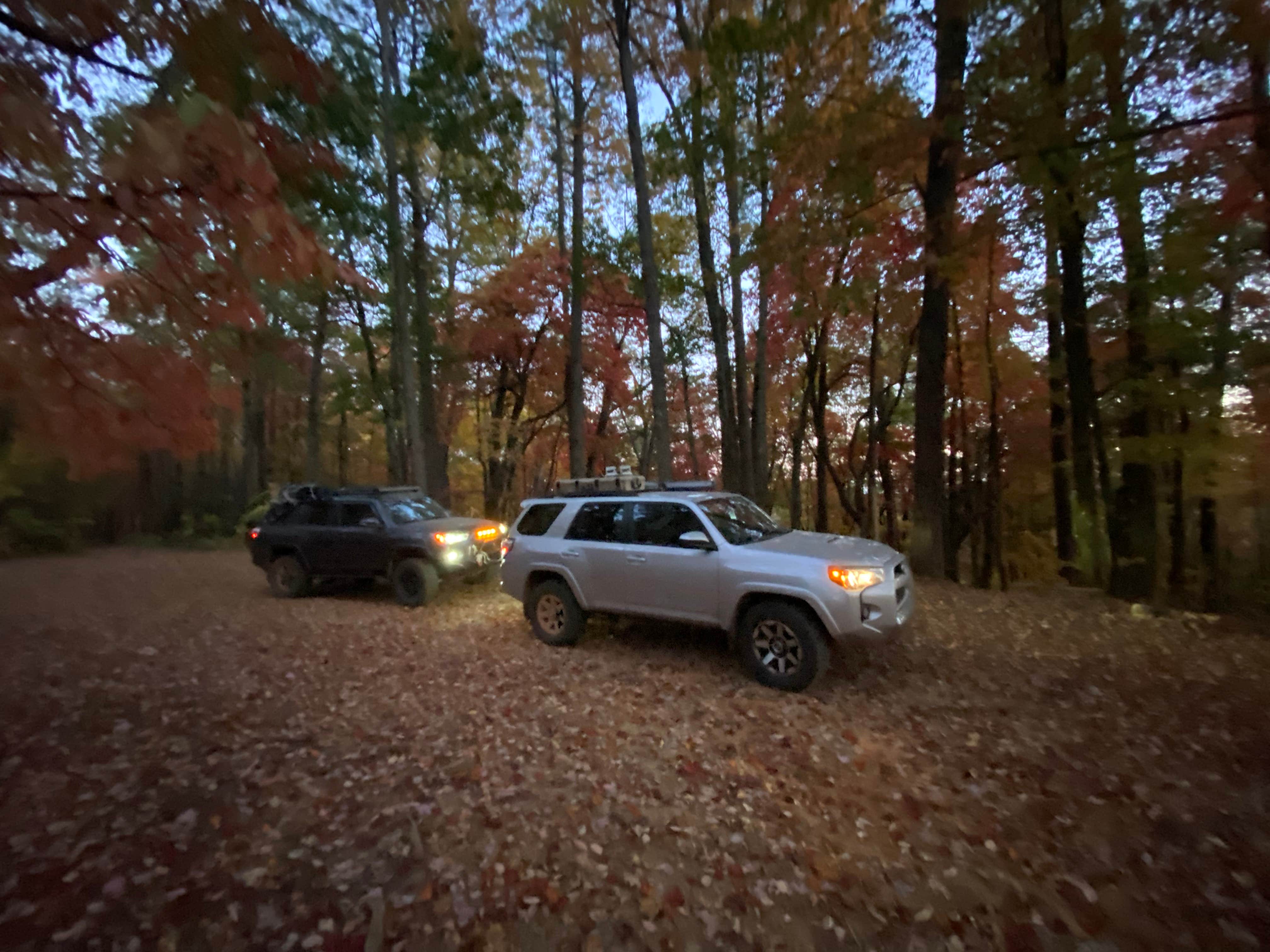 Camper submitted image from Sumter National Forest Big Bend Campground - 3