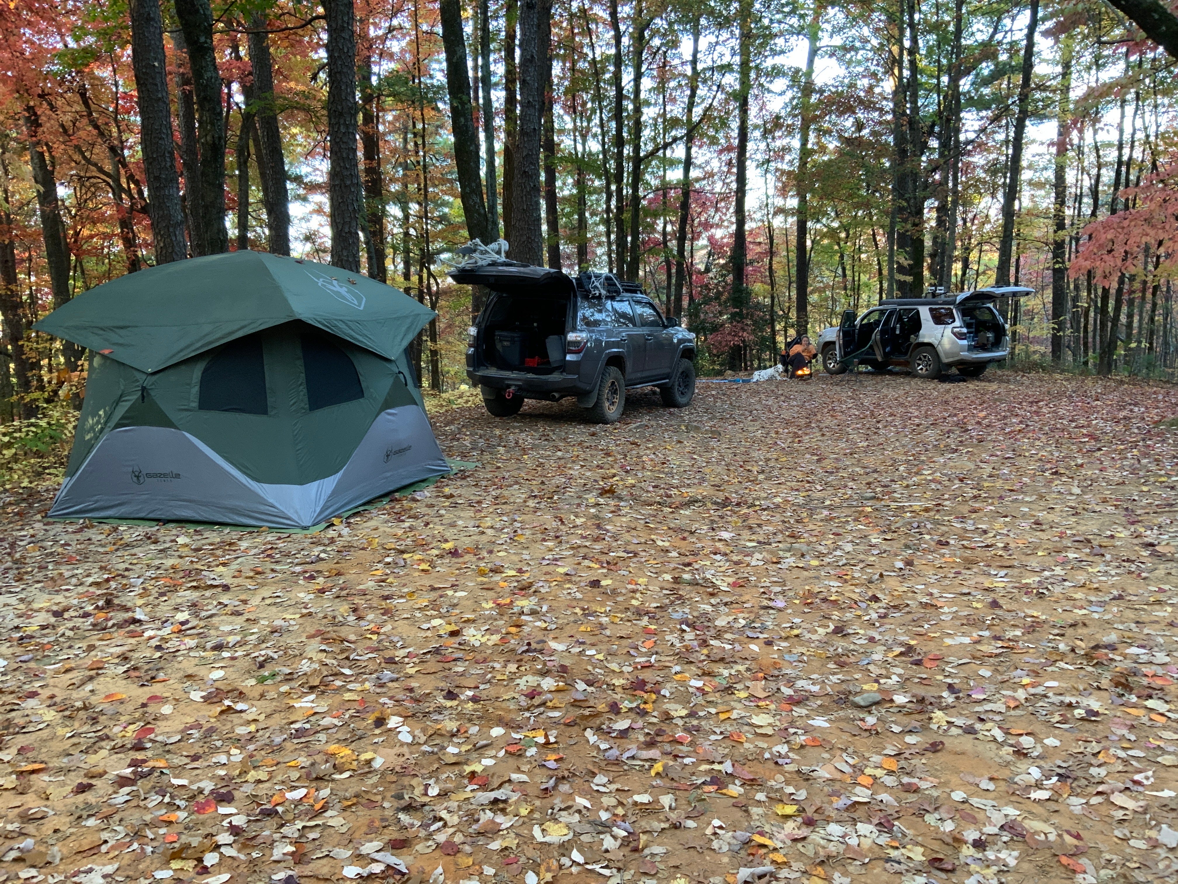 Camper submitted image from Sumter National Forest Big Bend Campground - 1