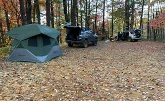 Steve S.'s photo of tent camping at Sumter National Forest Big Bend Campground in South Carolina