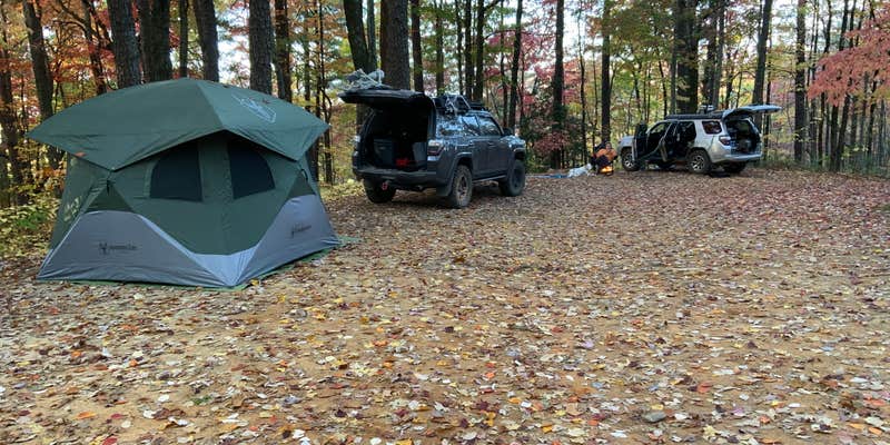 Camper submitted image from Sumter National Forest Big Bend Campground