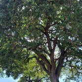 Review photo of Sun Outdoors Paso Robles RV Resort by Ioan P., May 18, 2024