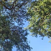 Review photo of Sun Outdoors Paso Robles RV Resort by Ioan P., May 18, 2024
