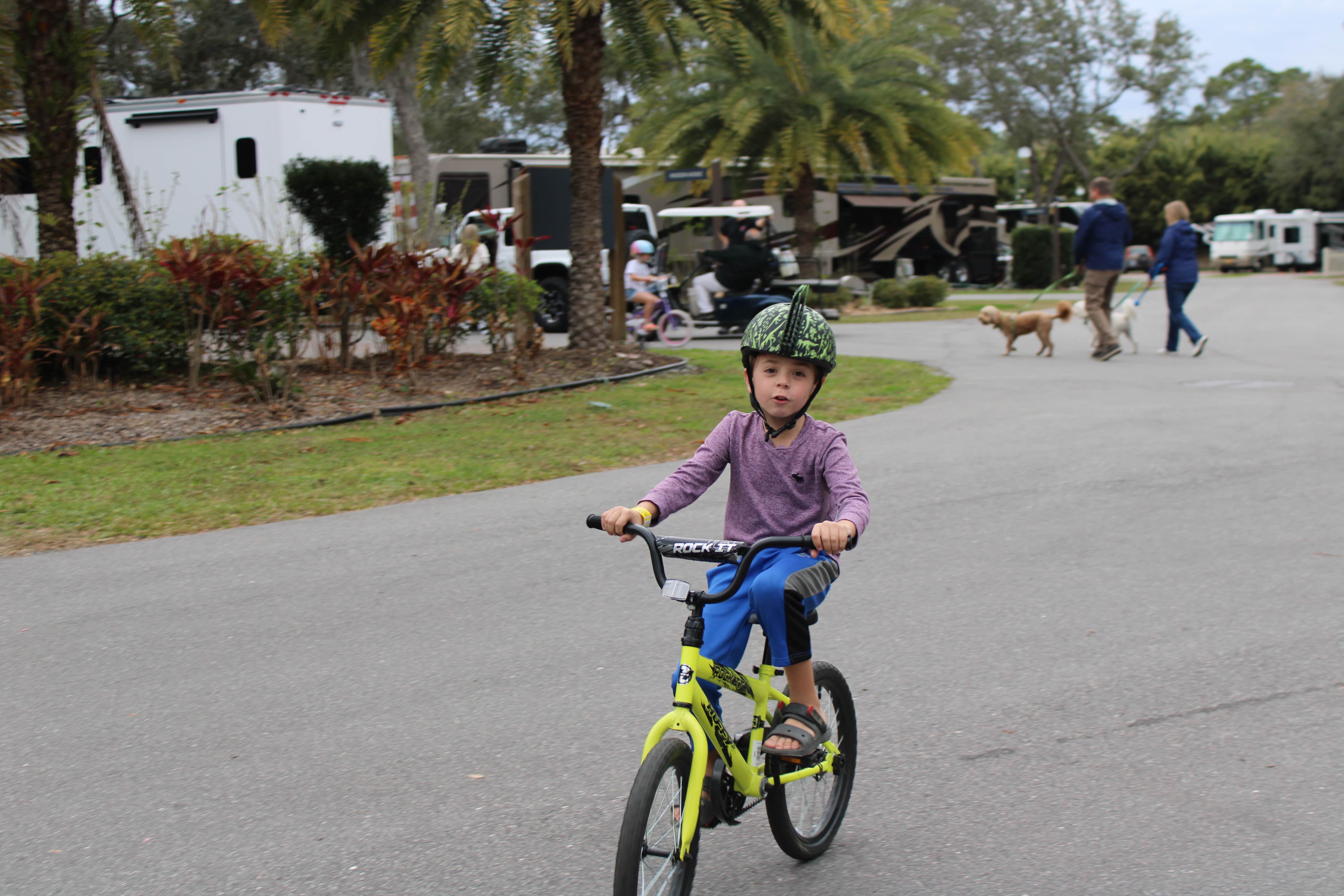 Joe R.'s photo of camping with pets at Sun Outdoors St. Augustine near St. Augustine, FL