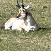 Review photo of Sun Outdoors Yellowstone North by Michi P., May 7, 2026
