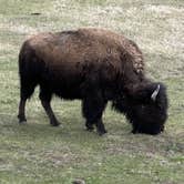 Review photo of Sun Outdoors Yellowstone North by Michi P., May 7, 2026