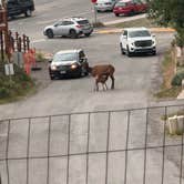 Review photo of Sun Outdoors Yellowstone North by lauren B., July 2, 2026