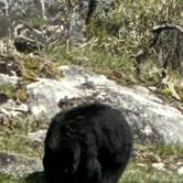 Review photo of Sun Outdoors Yellowstone North by Michi P., May 7, 2026