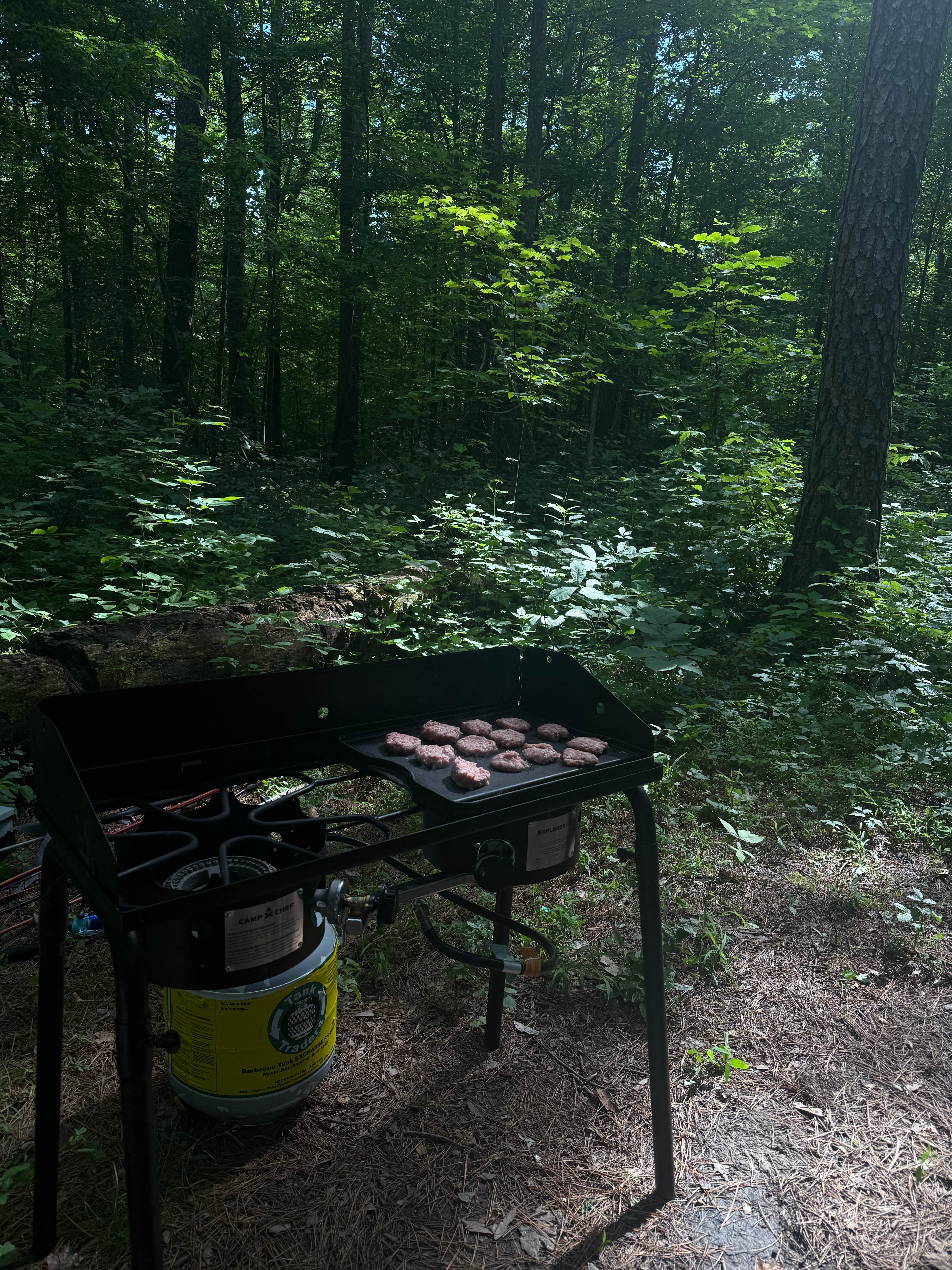 Camper-submitted photo at Sundance Lake Dispersed Camping near Nashville, IN
