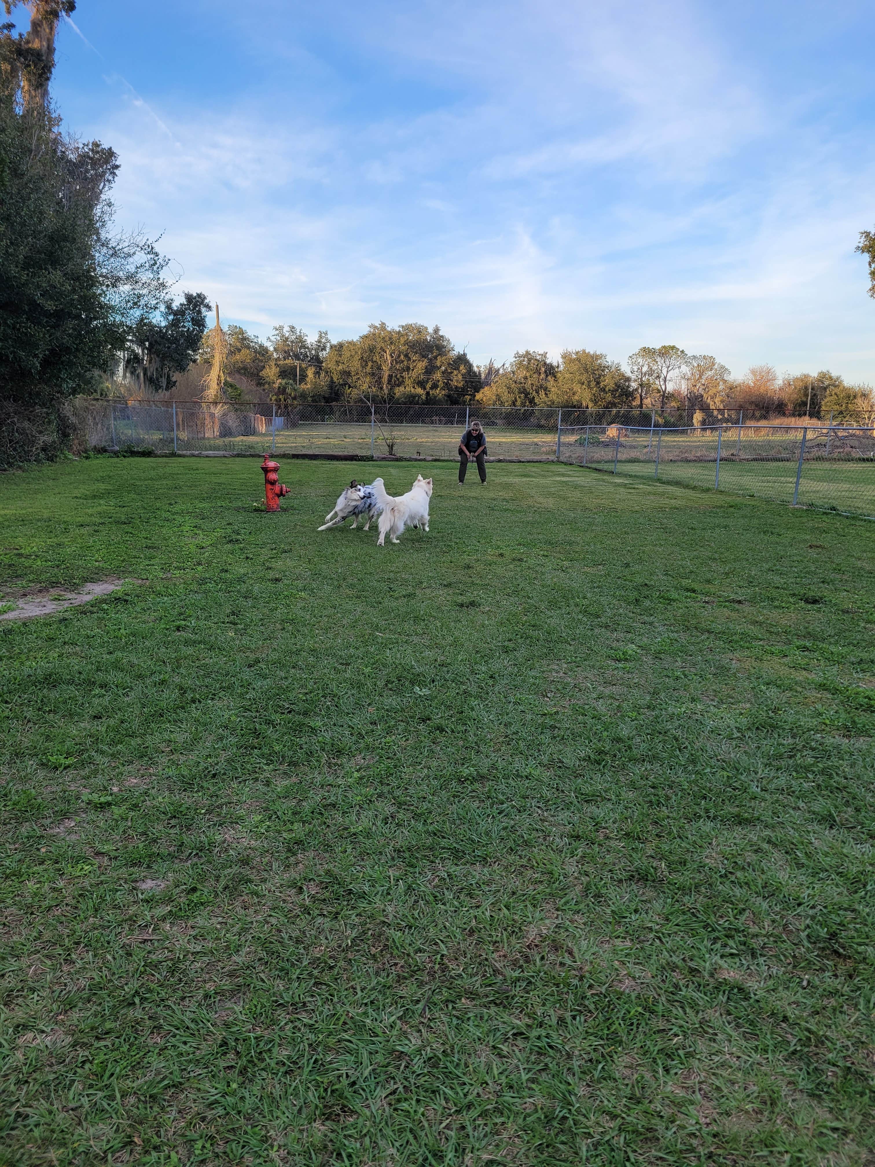 Camping near Edward Medard Park: Plantation Oaks, Plant City, Florida