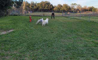 David S.'s photo of camping with pets at Plantation Oaks near Dover, FL