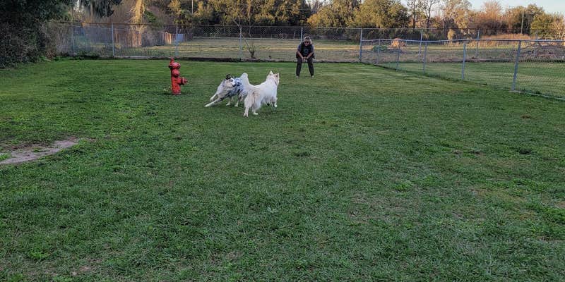 Camper submitted image from Plantation Oaks