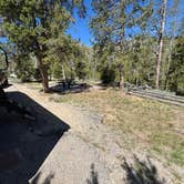 Review photo of Sunny Gulch Campground by Bob R., June 7, 2025