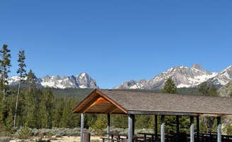 Bob R.'s photo of camping with pets at Sunny Gulch Campground near Stanley, ID