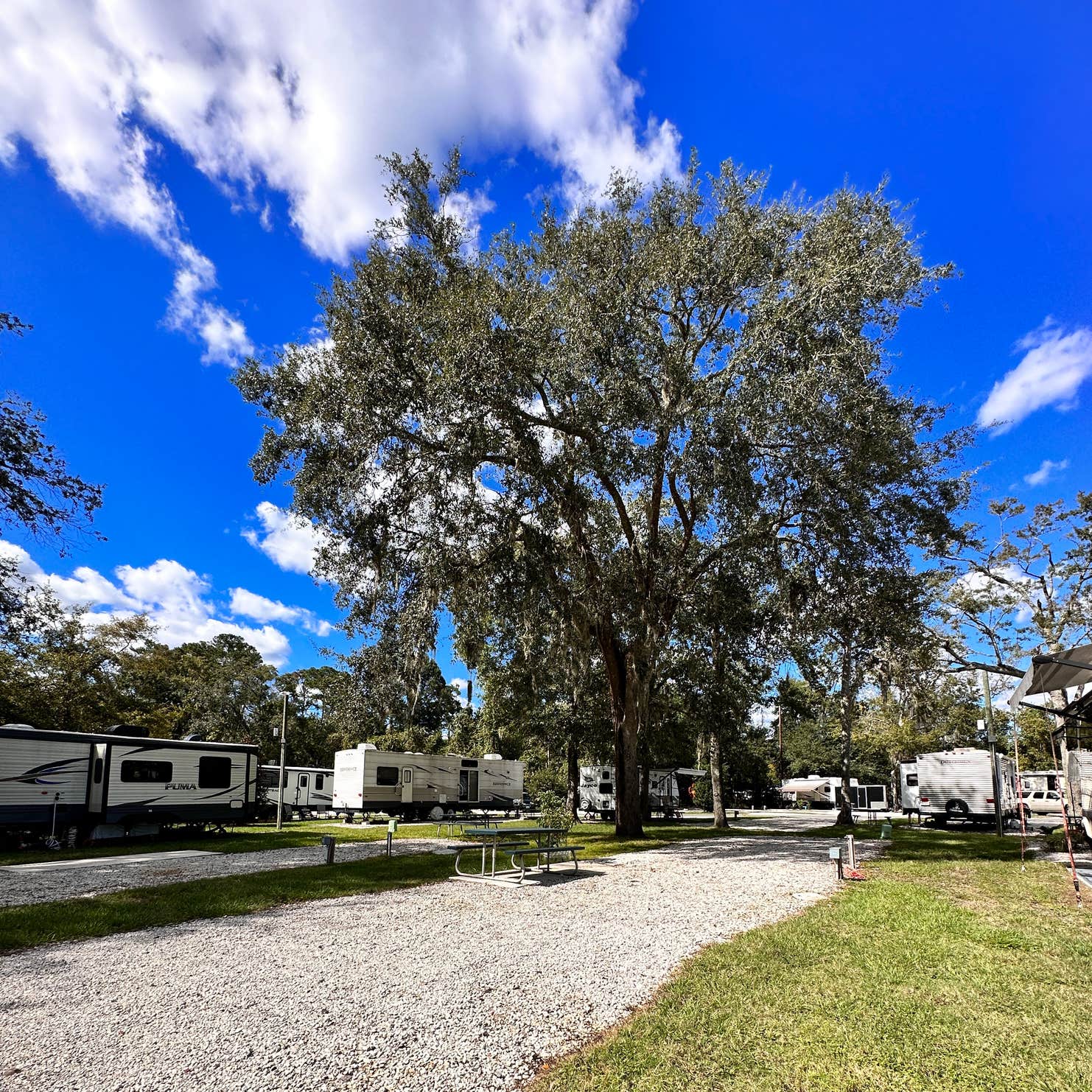 Sunny Oaks RV Park | Jacksonville, FL