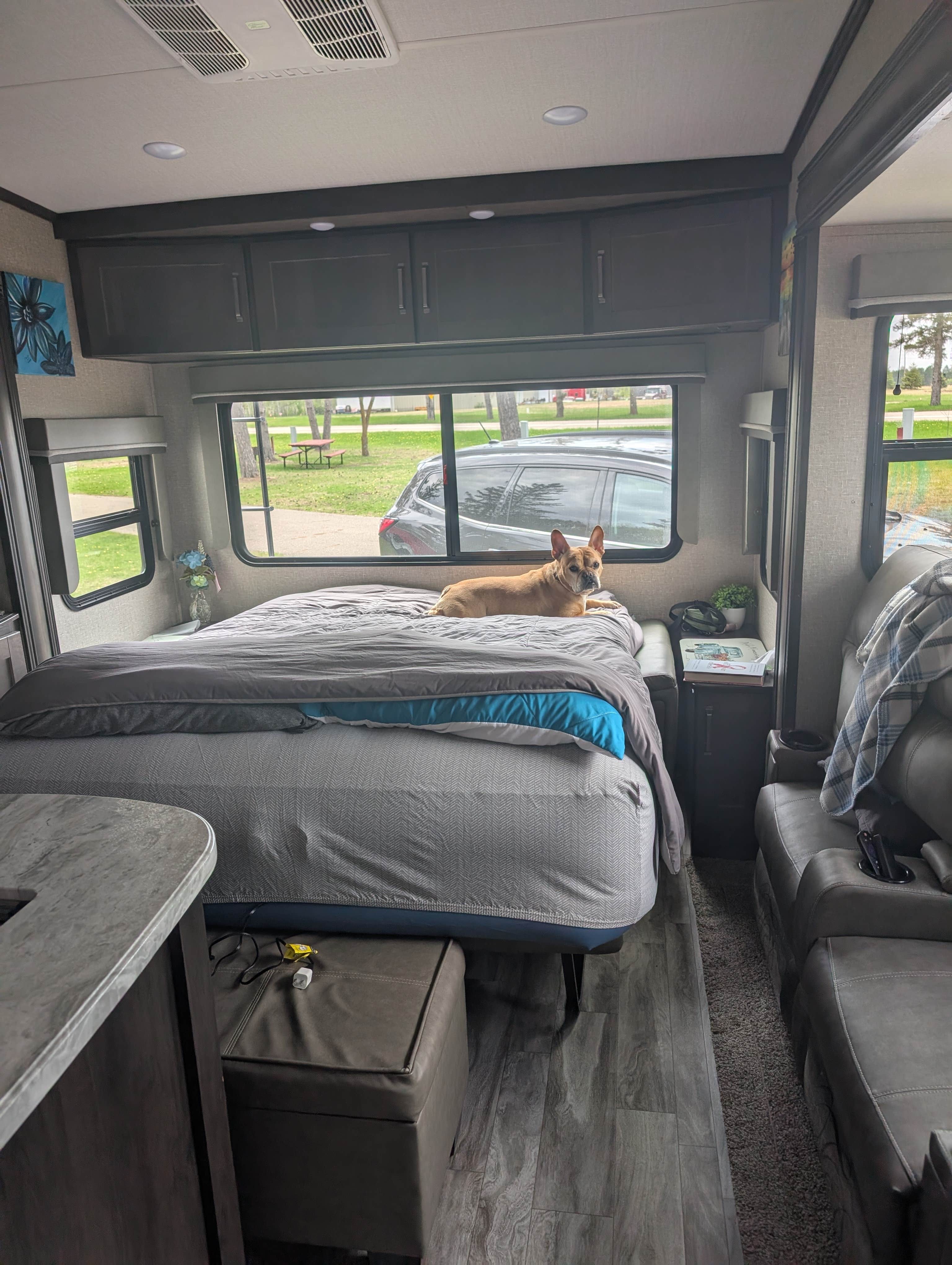Camper submitted image from Sunnybrook Park - 4