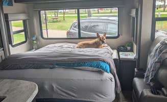 Tori K.'s photo of camping with pets at Sunnybrook Park near Horton, MN