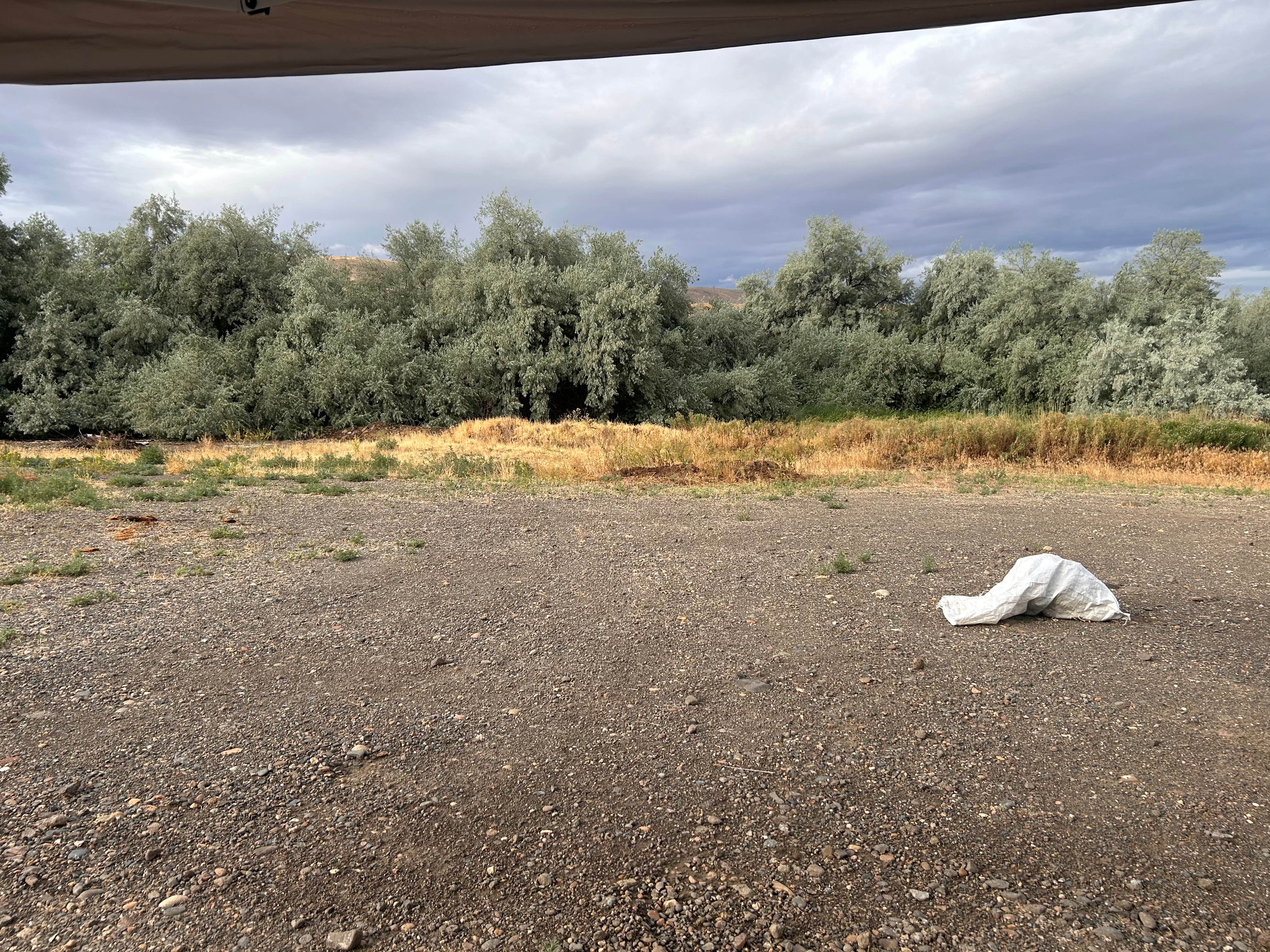 Camper-submitted photo at sunnyside wildlife rec area near Prosser, WA
