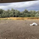 Review photo of sunnyside wildlife rec area by Deegan H., June 26, 2026