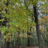 Review photo of Sunrise Campground — Richard Bong State Recreation Area by Justin F., October 31, 2025