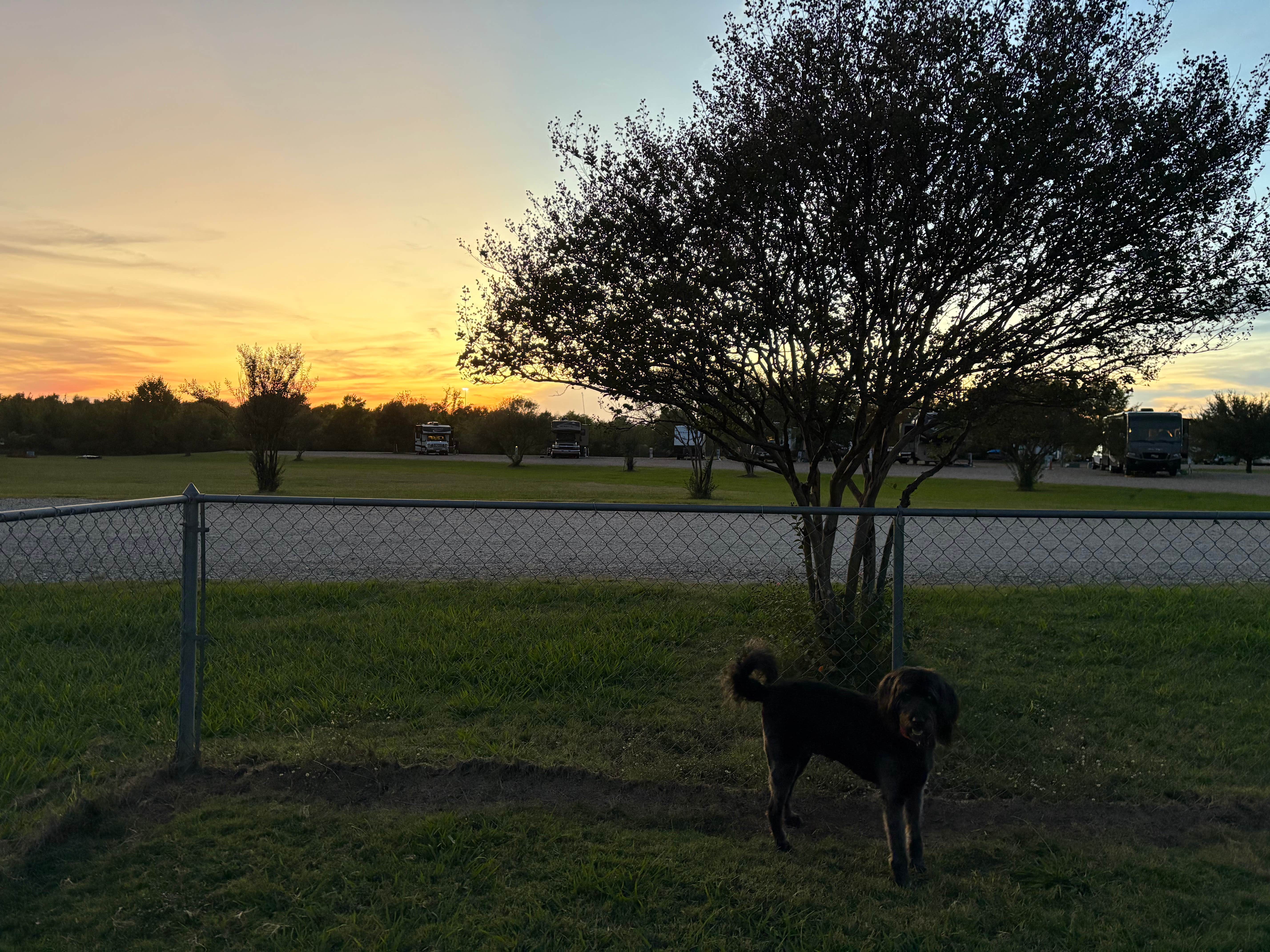 Camper-submitted photo at Sunrise RV Park near Millwood Lake