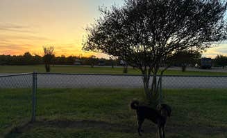 Paulene T.'s photo of camping with pets at Sunrise RV Park near Texarkana, TX