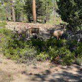 Review photo of Sunset Campground — Bryce Canyon National Park by marine J., September 6, 2024