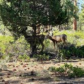 Review photo of Sunset Campground — Bryce Canyon National Park by marine J., September 6, 2024