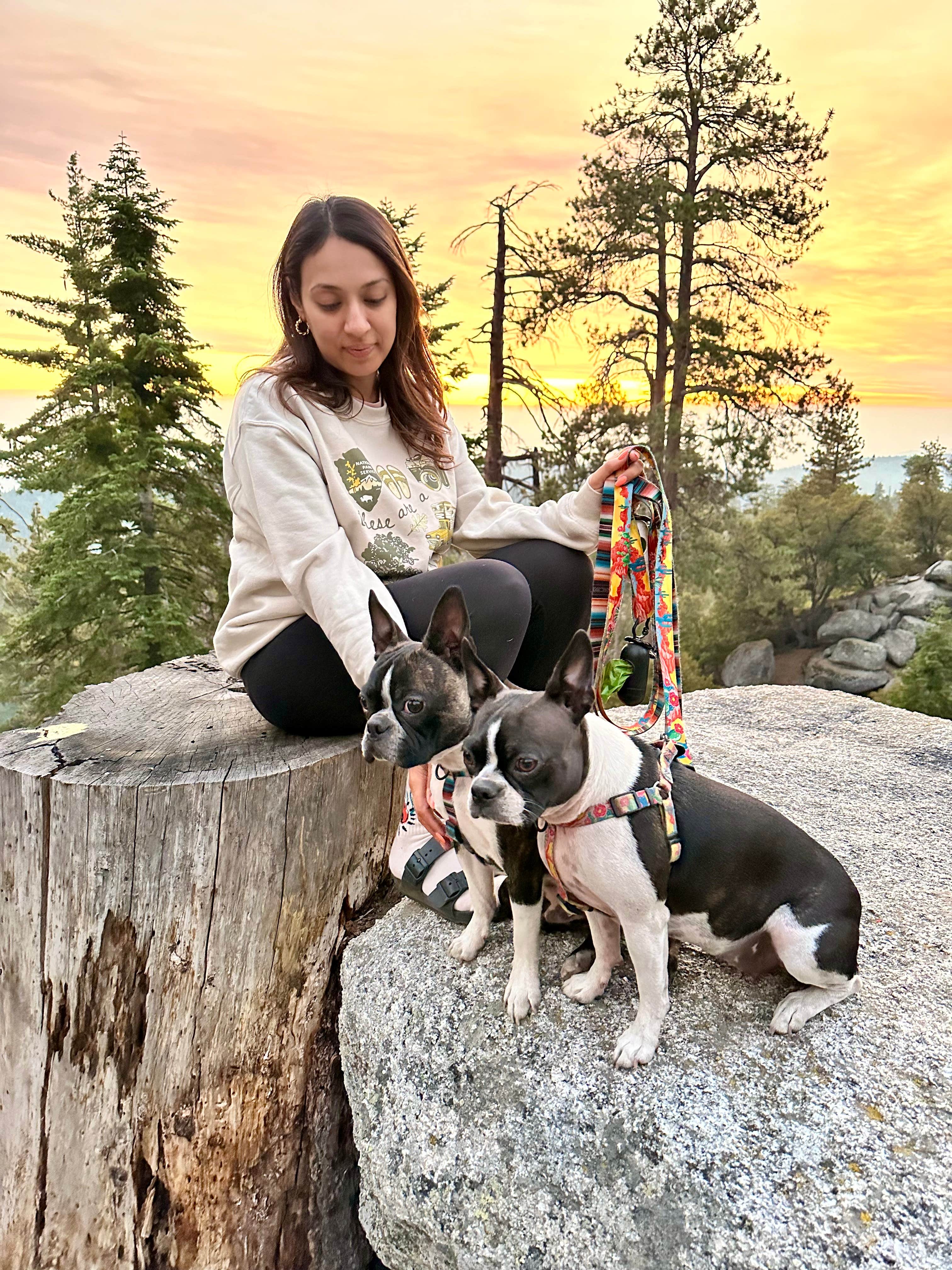 Joseph Z.'s photo of camping with pets at Sunset Campground — Kings Canyon National Park near Hume, CA