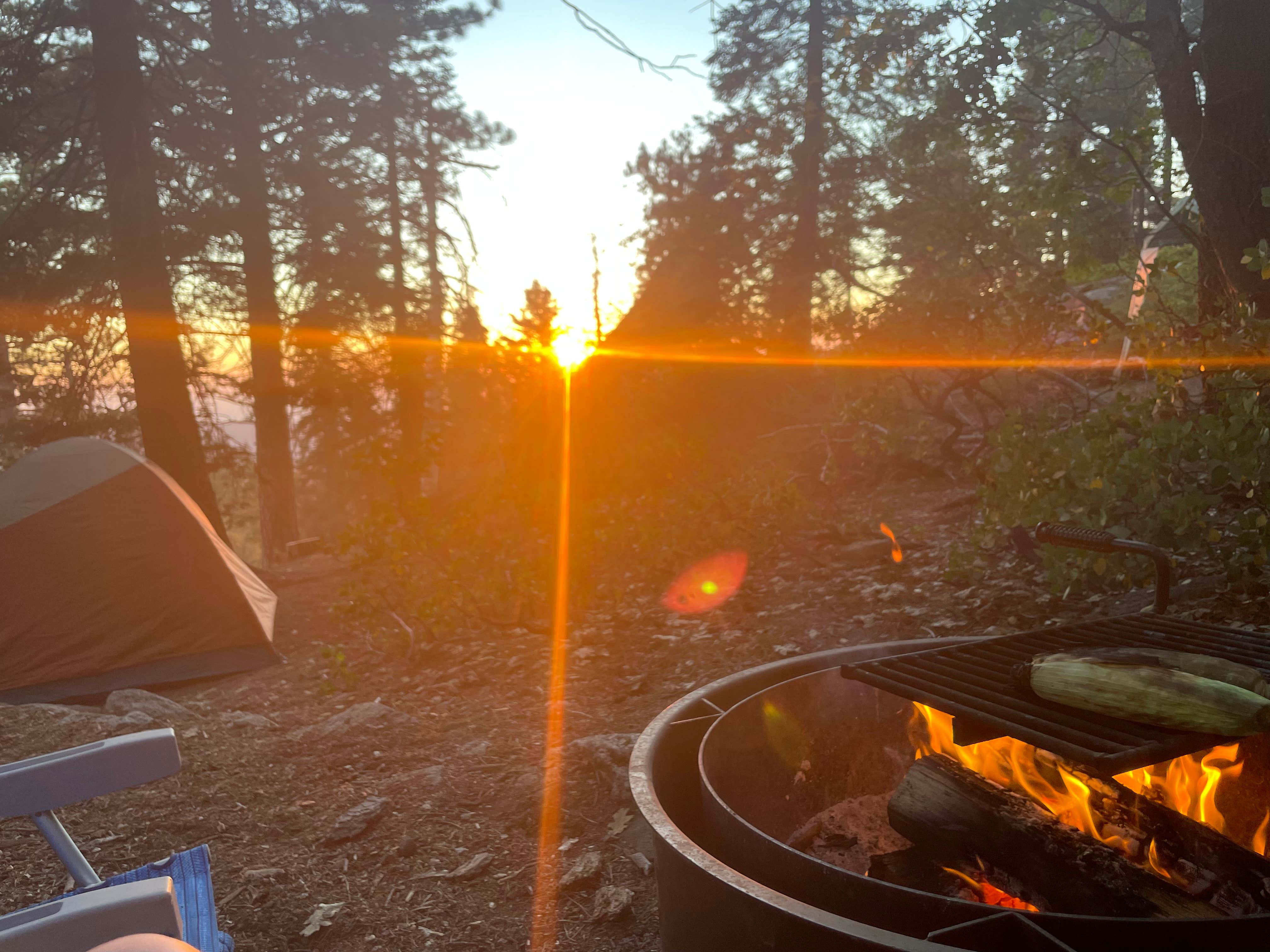 Elise F.'s photo at Sunset Campground — Kings Canyon National Park near Hume, CA
