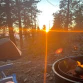 Review photo of Sunset Campground — Kings Canyon National Park by Elise F., August 10, 2025