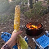 Review photo of Sunset Campground — Kings Canyon National Park by Elise F., August 10, 2025