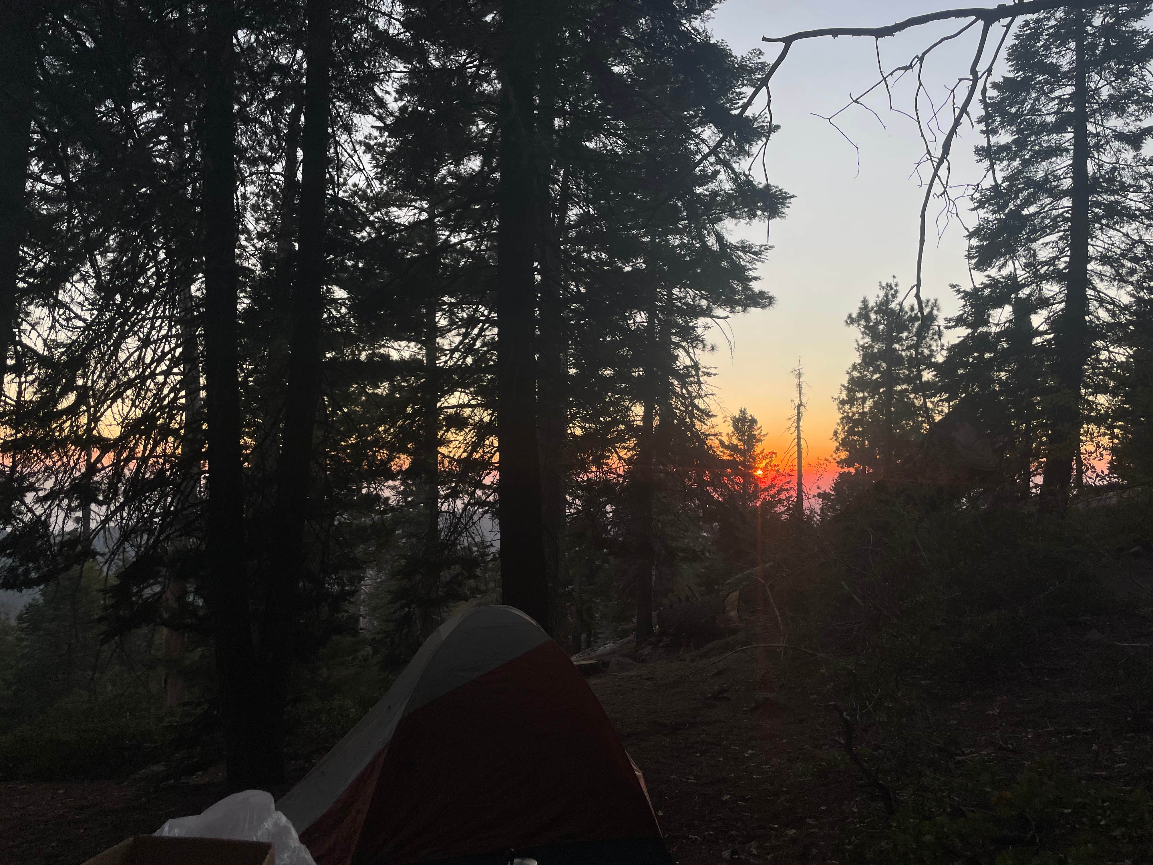 Elise F.'s photo at Sunset Campground — Kings Canyon National Park near Badger, CA