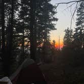 Review photo of Sunset Campground — Kings Canyon National Park by Elise F., August 10, 2025