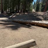 Review photo of Sunset Campground — Kings Canyon National Park by Christina R., July 9, 2026