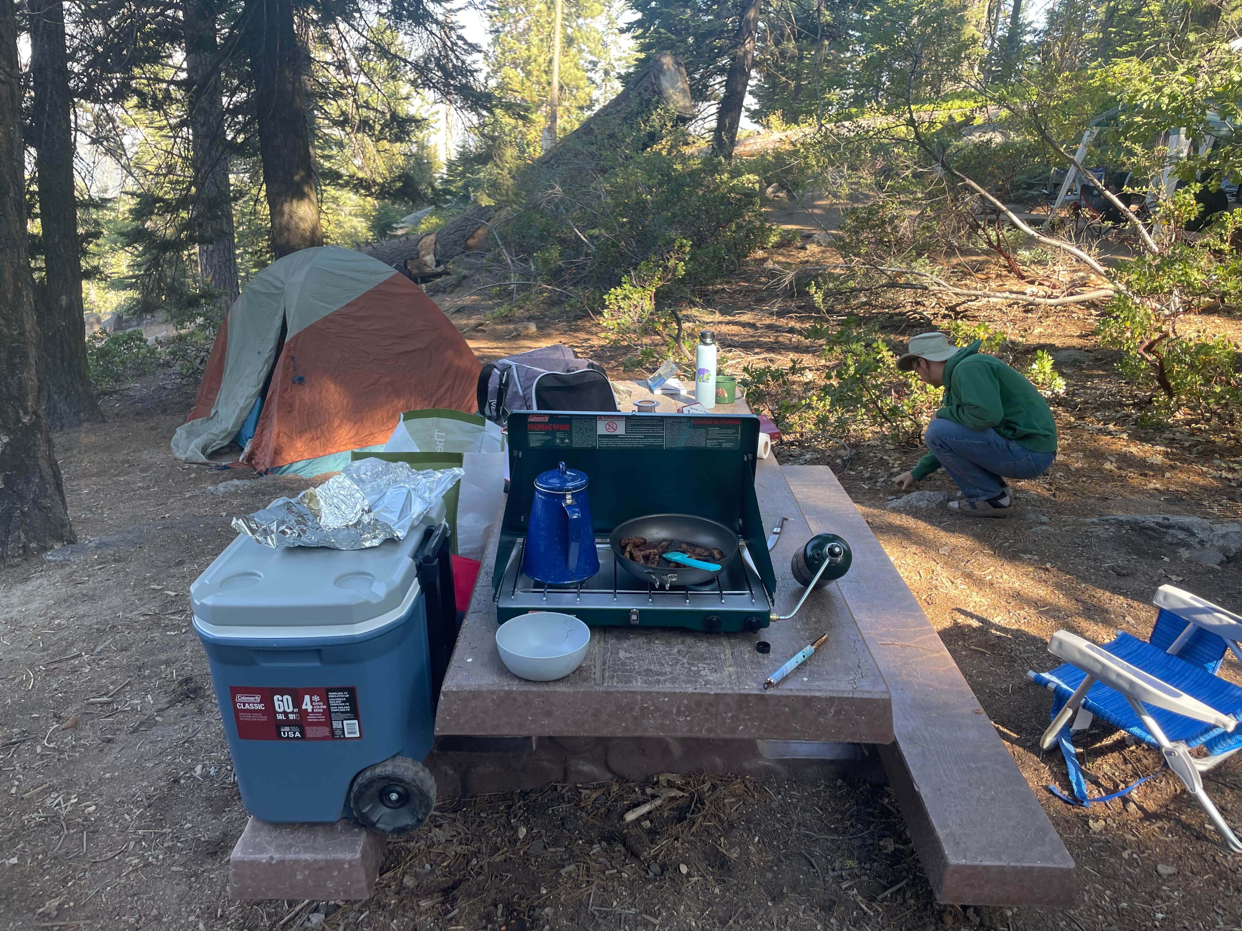 Elise F.'s photo at Sunset Campground — Kings Canyon National Park near Badger, CA