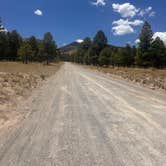 Review photo of Sunset Crater by shelby B., May 25, 2026