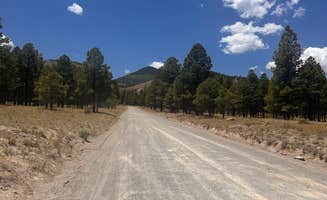 shelby B.'s photo of a dispersed camping area at Sunset Crater near Leupp, AZ