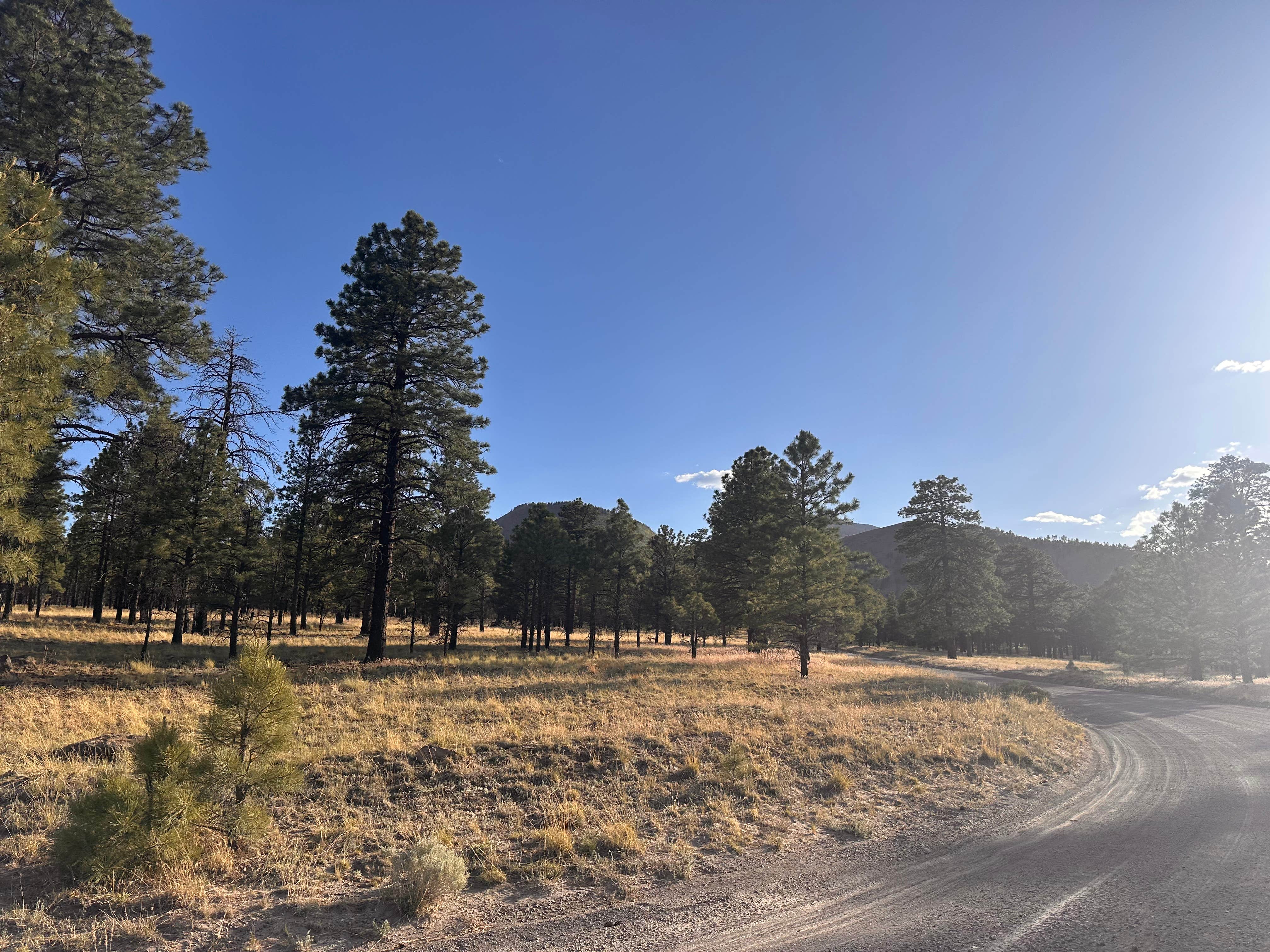 Roads