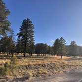 Review photo of Sunset Crater by shelby B., May 25, 2026